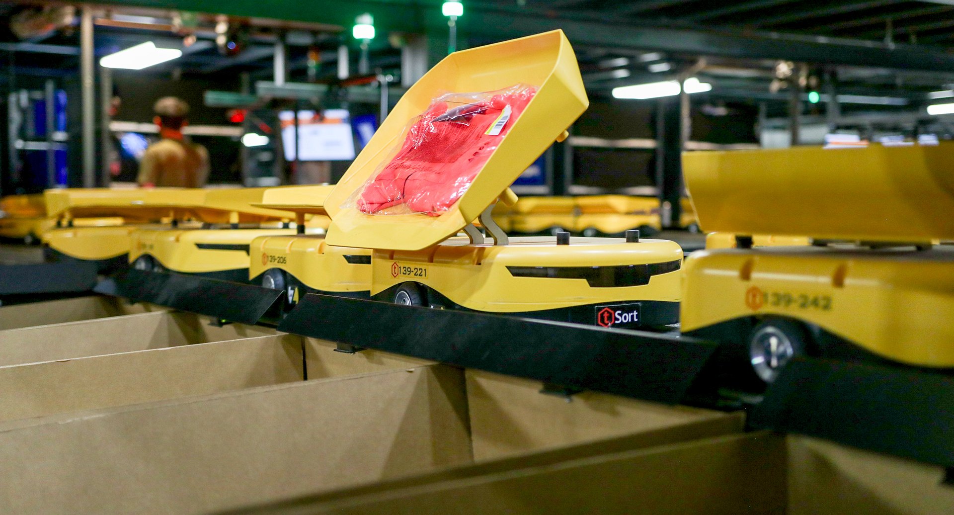 Automated vs Manual Sorting